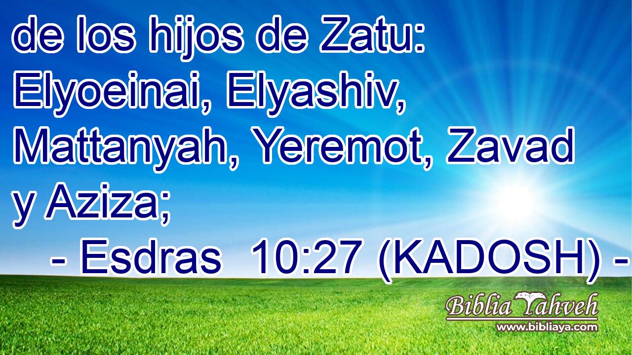  de los hijos de Zatu: Elyoeinai, Elyashiv, Mattanyah, Yeremot, Zavad y Aziza; 