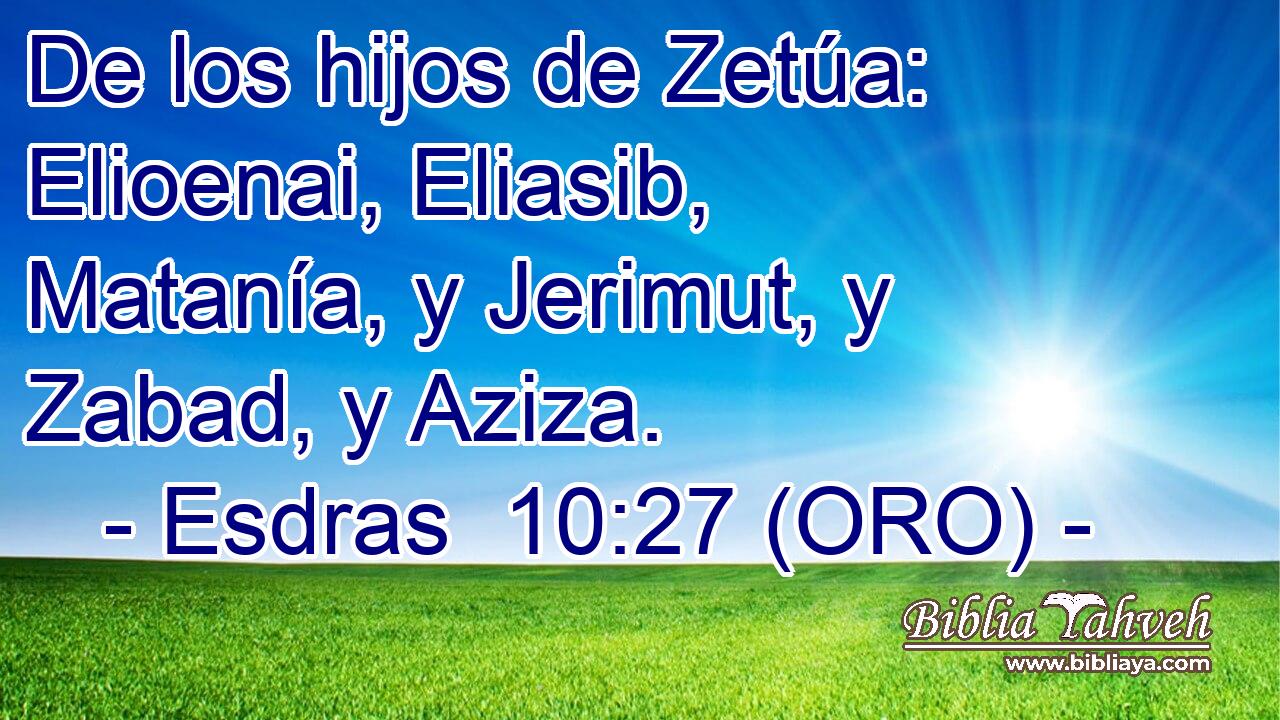  De los hijos de Zetúa: Elioenai, Eliasib, Matanía, y Jerimut, y Zabad, y Aziza. 