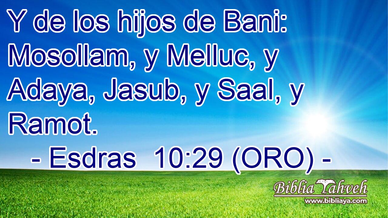  Y de los hijos de Bani: Mosollam, y Melluc, y Adaya, Jasub, y Saal, y Ramot. 