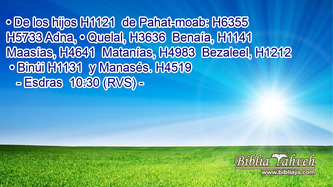 • De los hijos H1121  de Pahat-moab: H6355  H5733 Adna, • Quelal, H3636  Benaía, H1141  Maasías, H4641  Matanías, H4983  Bezaleel, H1212  • Binúi H1131  y Manasés. H4519  