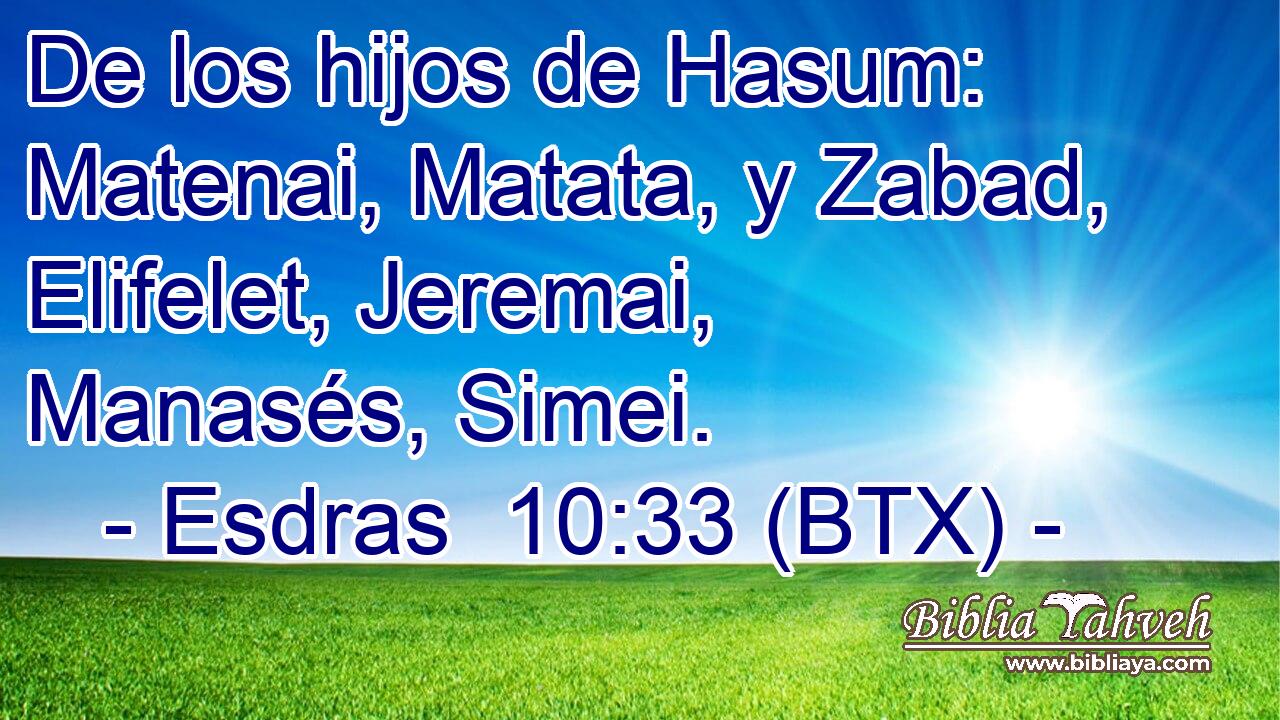 De los hijos de Hasum: Matenai, Matata, y Zabad, Elifelet, Jeremai, Manasés, Simei.