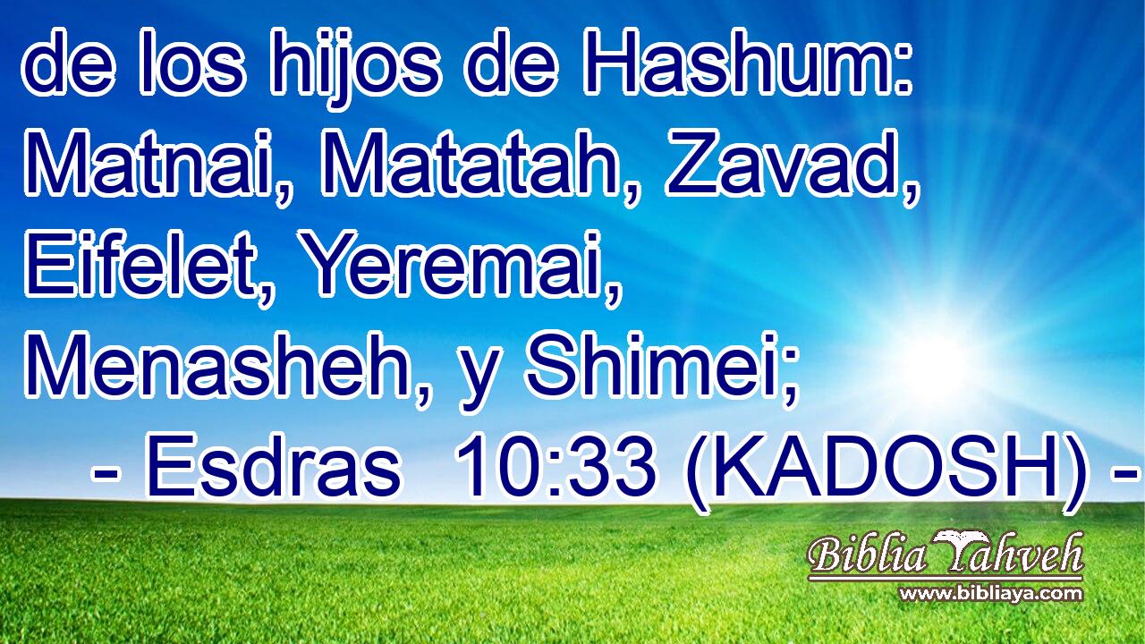  de los hijos de Hashum: Matnai, Matatah, Zavad, Eifelet, Yeremai, Menasheh, y Shimei; 
