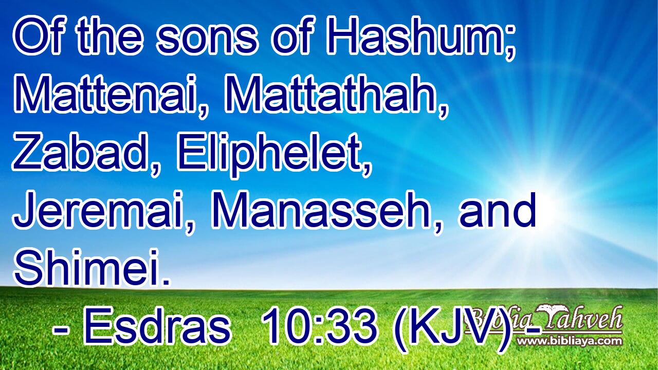 Of the sons of Hashum; Mattenai, Mattathah, Zabad, Eliphelet, Jeremai, Manasseh, and Shimei.