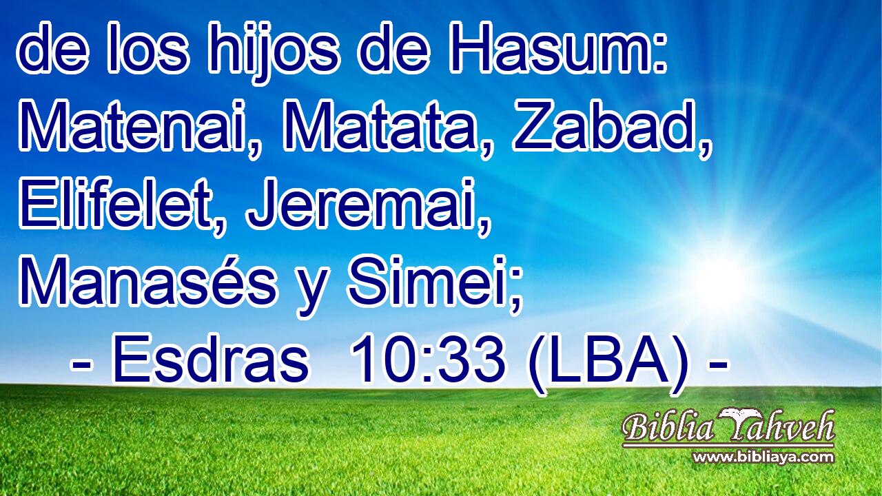 de los hijos de Hasum: Matenai, Matata, Zabad, Elifelet, Jeremai, Manasés y Simei;