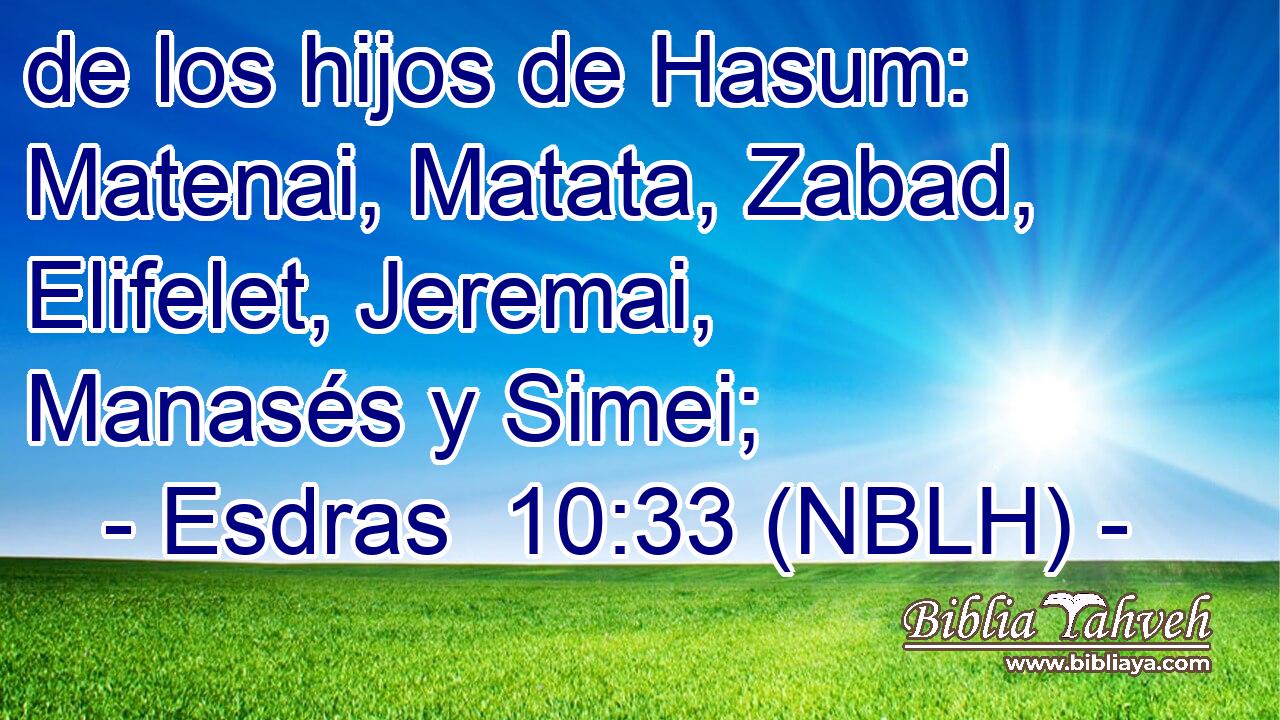  de los hijos de Hasum: Matenai, Matata, Zabad, Elifelet, Jeremai, Manasés y Simei; 