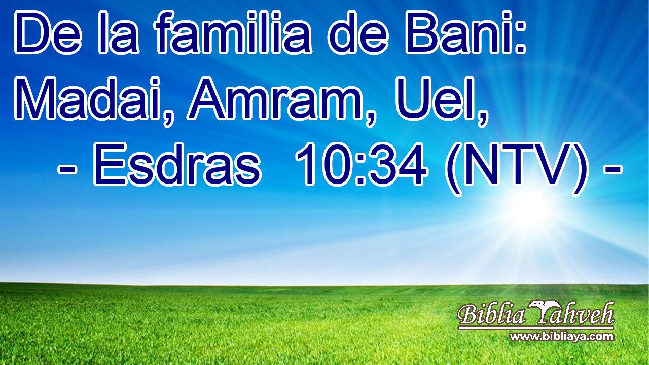 De la familia de Bani: Madai, Amram, Uel,