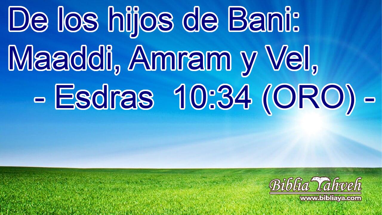  De los hijos de Bani: Maaddi, Amram y Vel, 