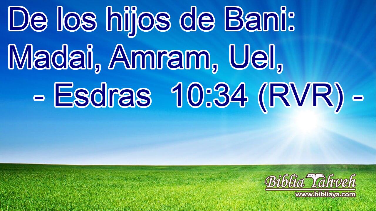De los hijos de Bani: Madai, Amram, Uel,