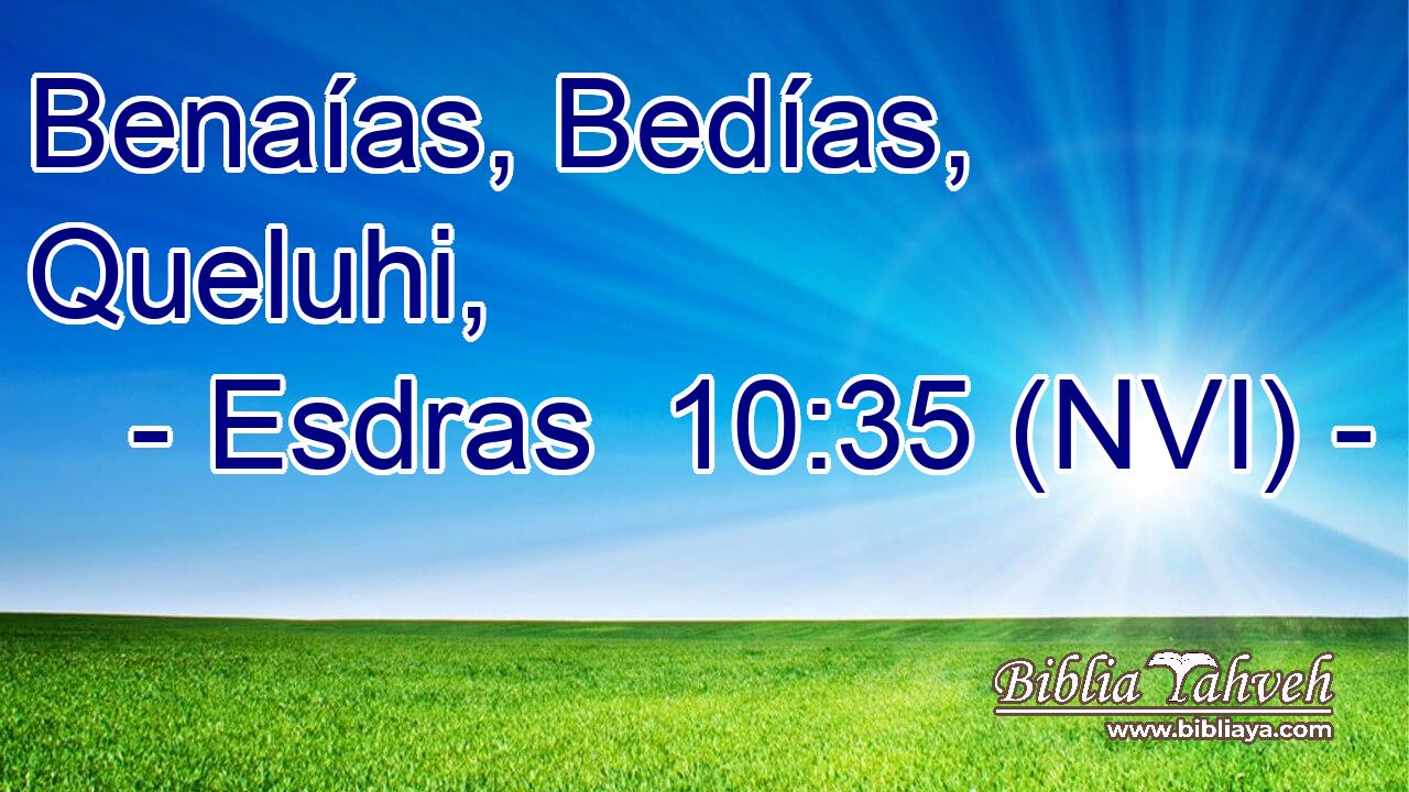  Benaías, Bedías, Queluhi, 