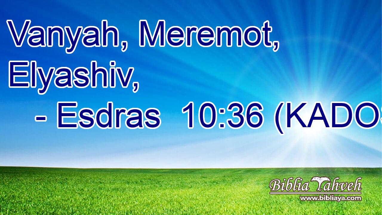  Vanyah, Meremot, Elyashiv, 
