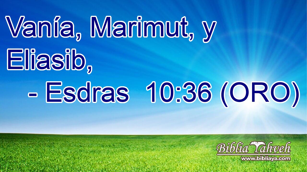  Vanía, Marimut, y Eliasib, 