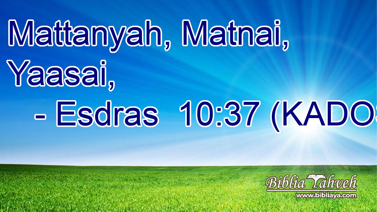  Mattanyah, Matnai, Yaasai, 