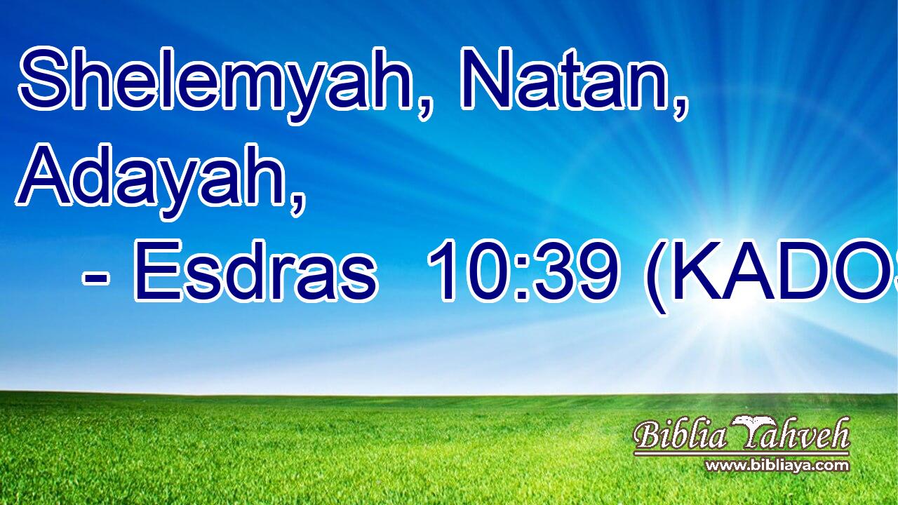  Shelemyah, Natan, Adayah, 