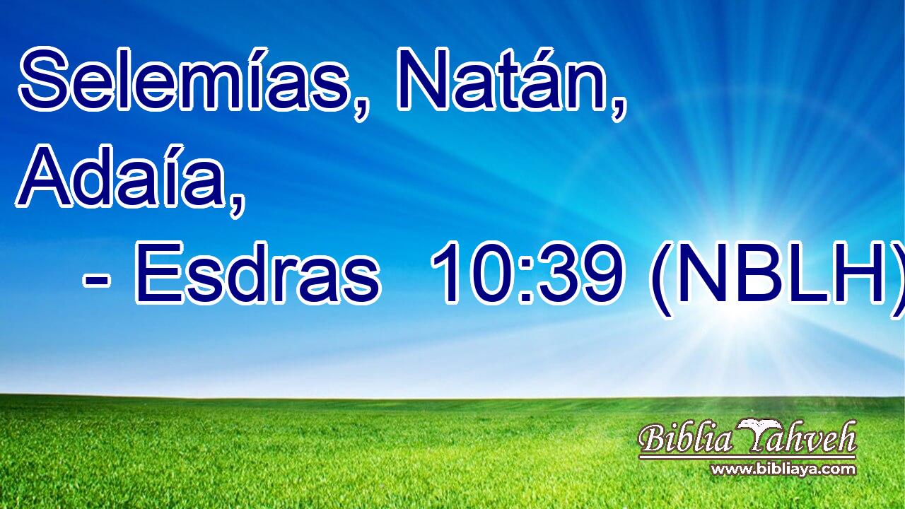  Selemías, Natán, Adaía, 
