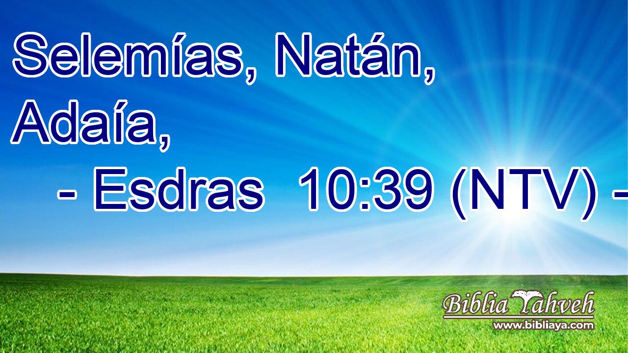 Selemías, Natán, Adaía,