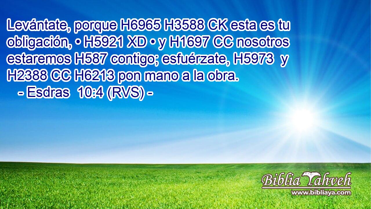 Levántate, porque H6965 H3588 CK esta es tu obligación, • H5921 XD • y H1697 CC nosotros estaremos H587 contigo; esfuérzate, H5973  y H2388 CC H6213 pon mano a la obra. 