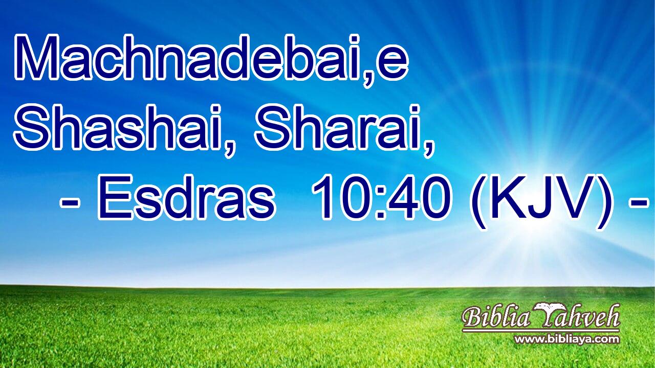 Machnadebai,e Shashai, Sharai,