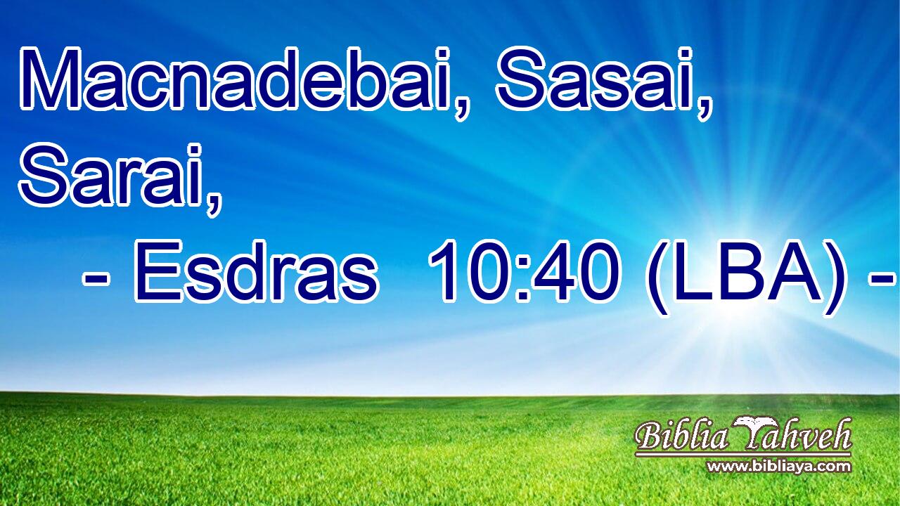 Macnadebai, Sasai, Sarai,