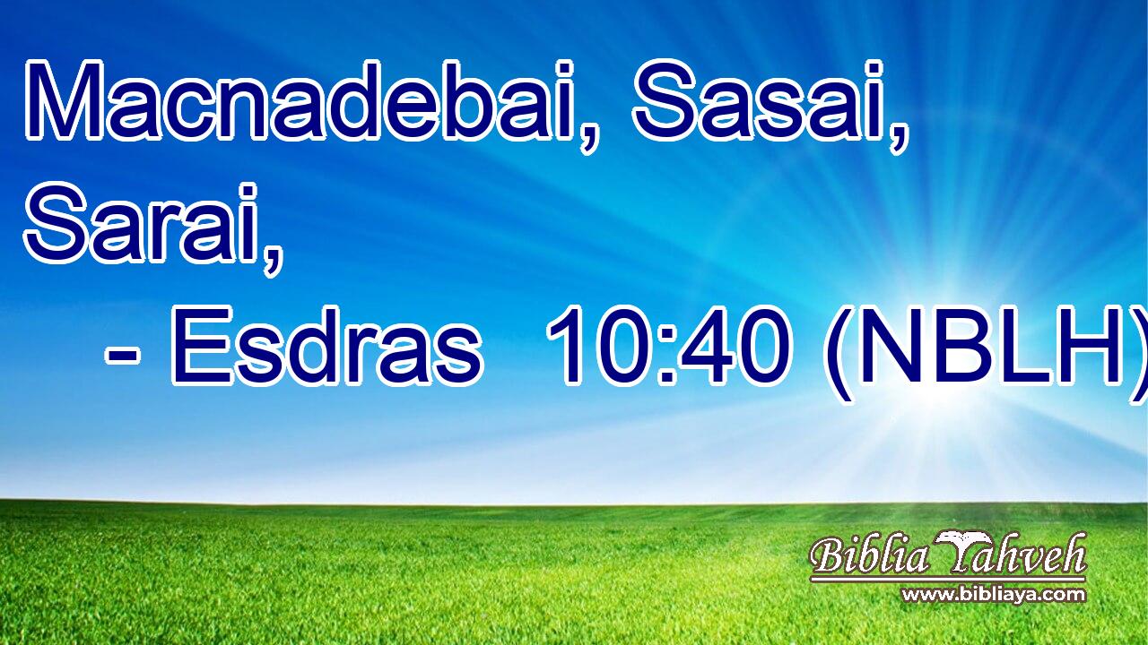  Macnadebai, Sasai, Sarai, 
