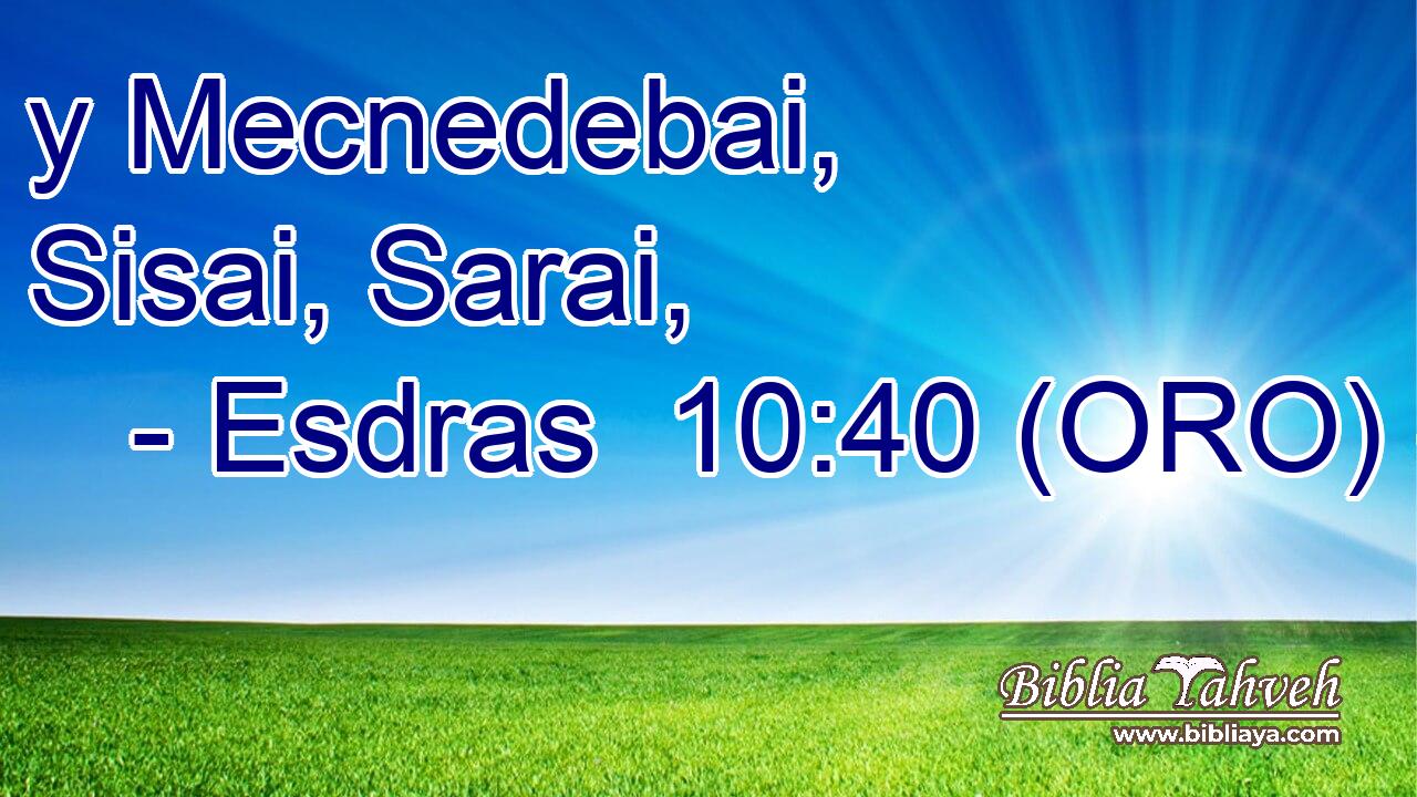  y Mecnedebai, Sisai, Sarai, 