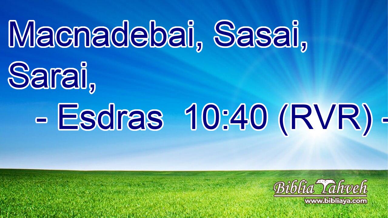 Macnadebai, Sasai, Sarai,