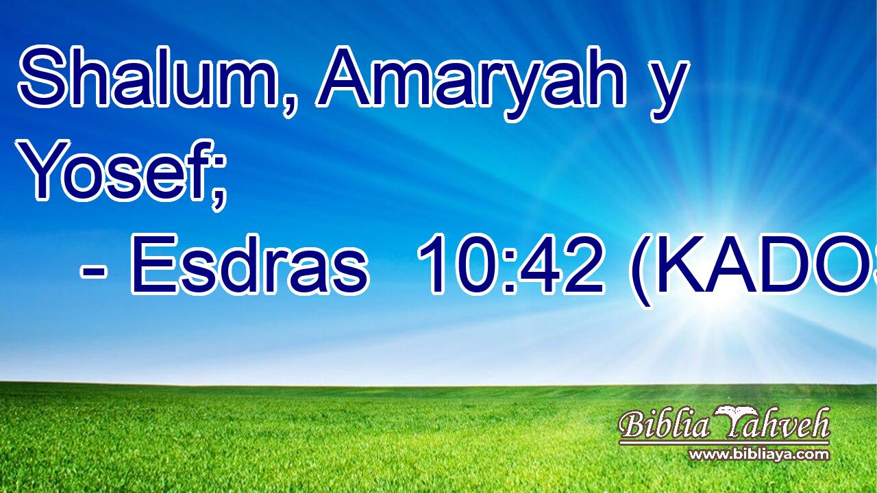  Shalum, Amaryah y Yosef; 