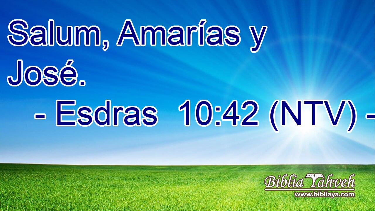 Salum, Amarías y José.