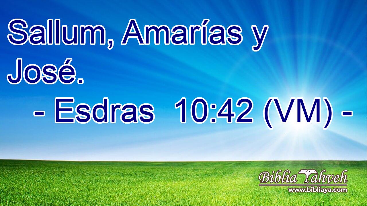  Sallum, Amarías y José. 