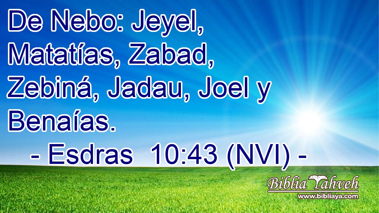  De Nebo: Jeyel, Matatías, Zabad, Zebiná, Jadau, Joel y Benaías. 