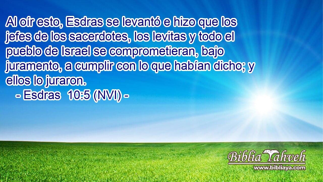  Al oír esto, Esdras se levantó e hizo que los jefes de los sacerdotes, los levitas y todo el pueblo de Israel se comprometieran, bajo juramento, a cumplir con lo que habían dicho; y ellos lo juraron. 