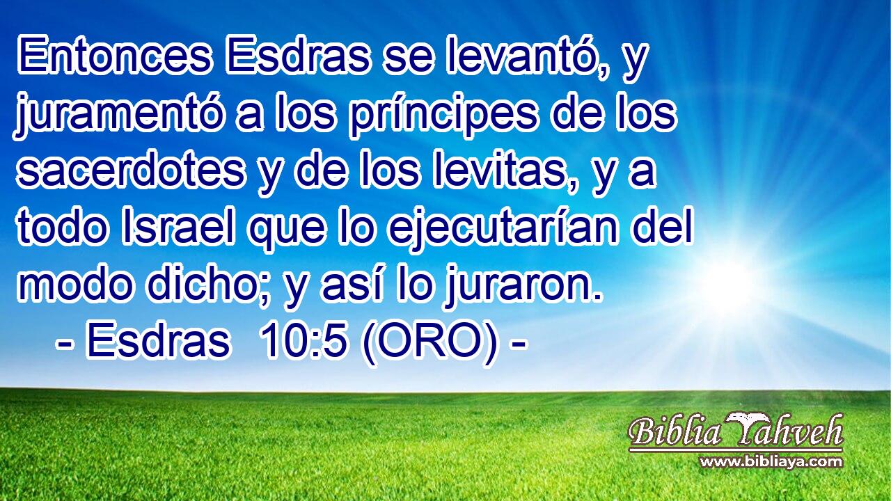  Entonces Esdras se levantó, y juramentó a los príncipes de los sacerdotes y de los levitas, y a todo Israel que lo ejecutarían del modo dicho; y así lo juraron. 
