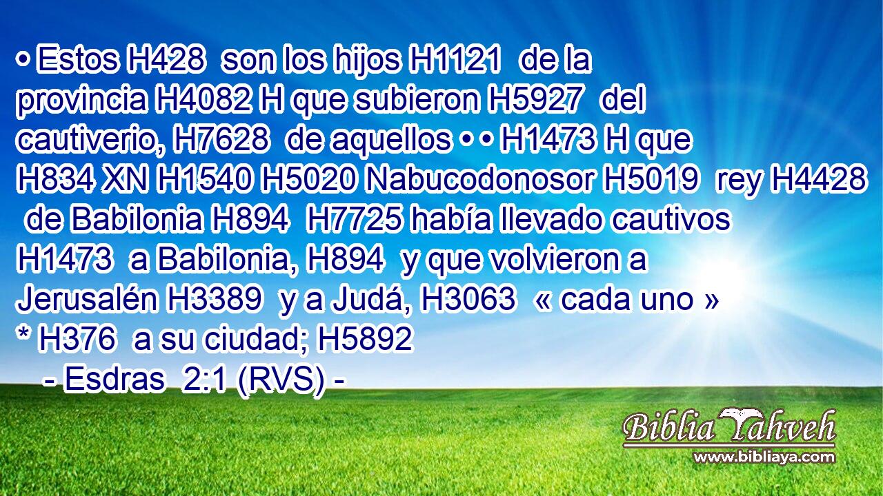 • Estos H428  son los hijos H1121  de la provincia H4082 H que subieron H5927  del cautiverio, H7628  de aquellos • • H1473 H que H834 XN H1540 H5020 Nabucodonosor H5019  rey H4428  de Babilonia H894  H7725 había llevado cautivos H1473  a Babilonia, H894  y que volvieron a Jerusalén H3389  y a Judá, H3063  « cada uno » * H376  a su ciudad; H5892  