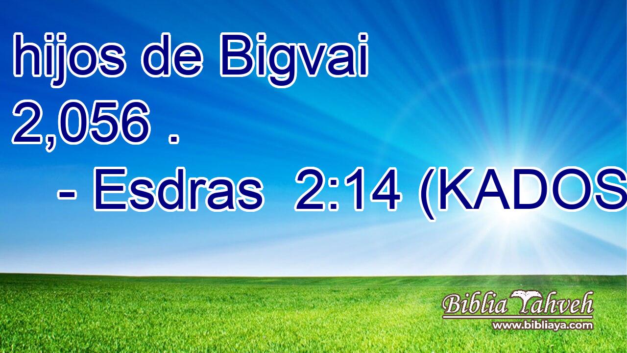  hijos de Bigvai 2,056 . 
