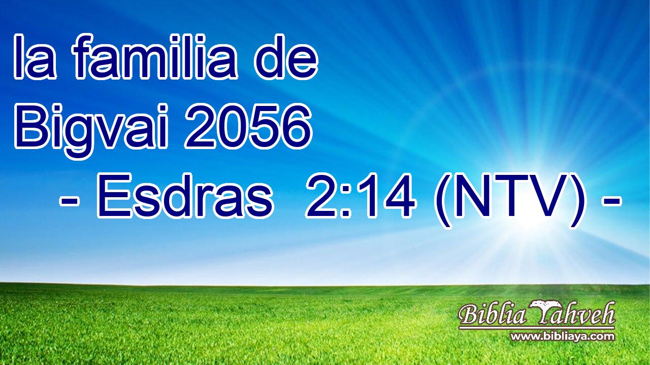 la familia de Bigvai 2056  
