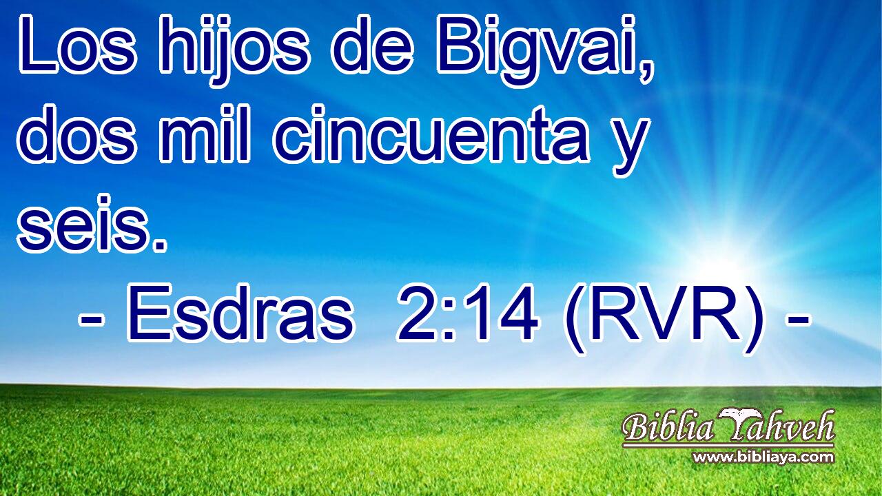 Los hijos de Bigvai, dos mil cincuenta y seis.