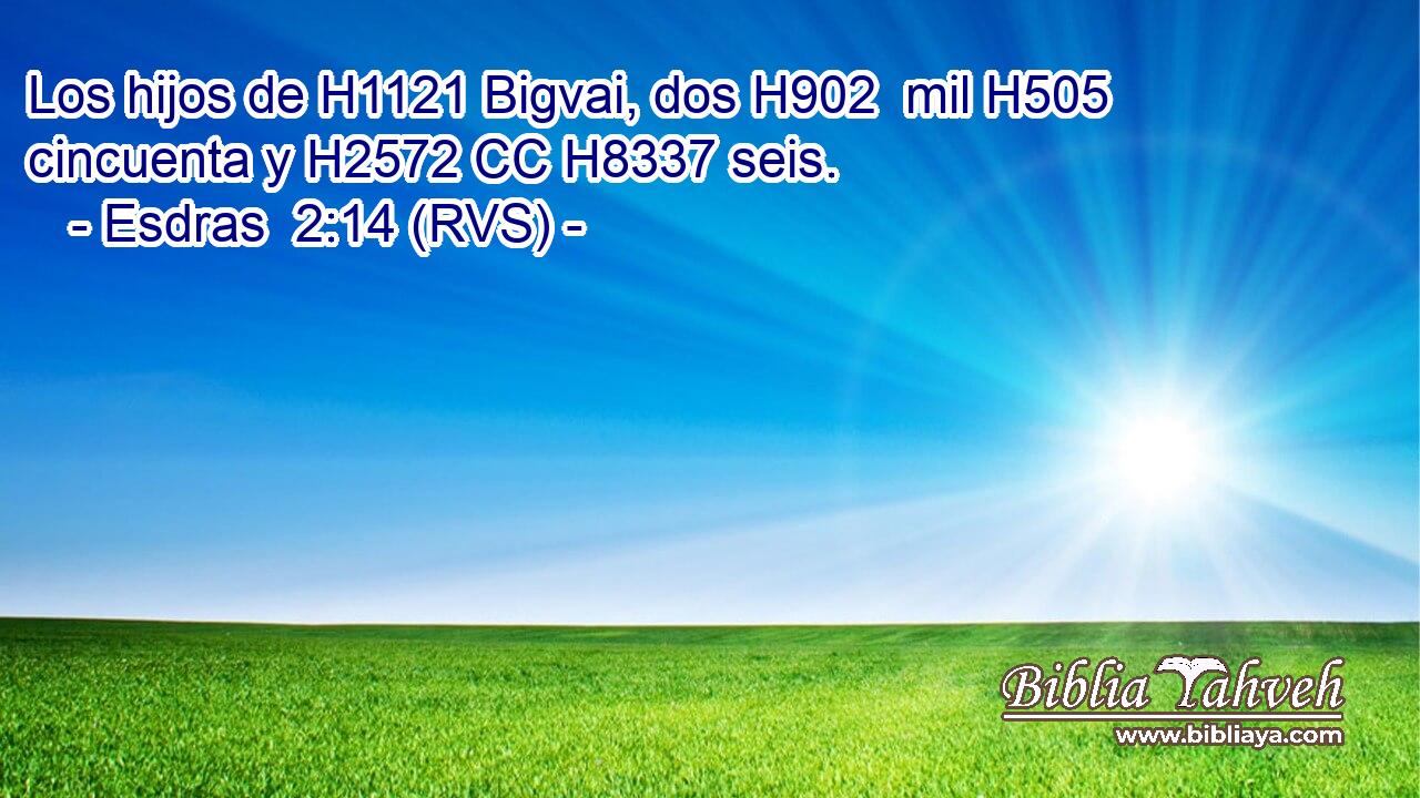 Los hijos de H1121 Bigvai, dos H902  mil H505 cincuenta y H2572 CC H8337 seis. 