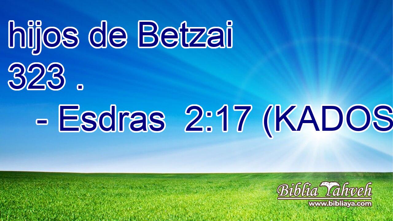  hijos de Betzai 323 . 