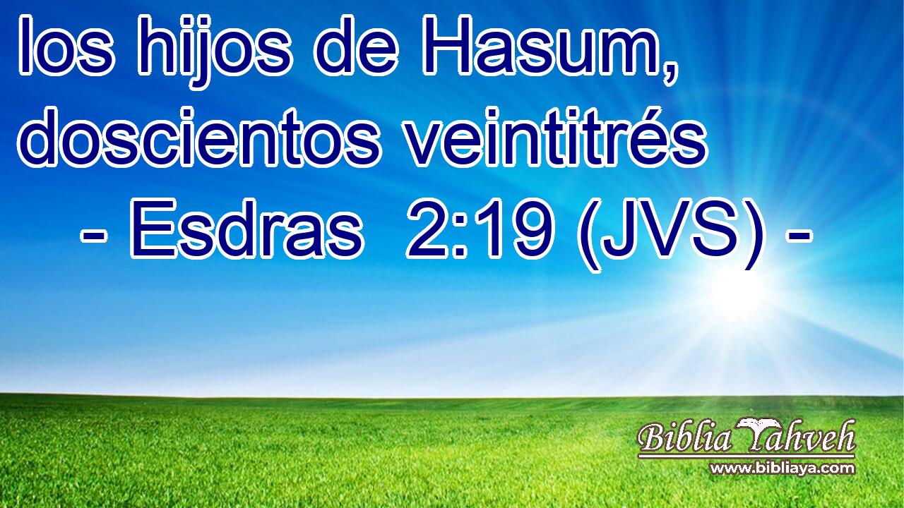los hijos de Hasum, doscientos veintitrés