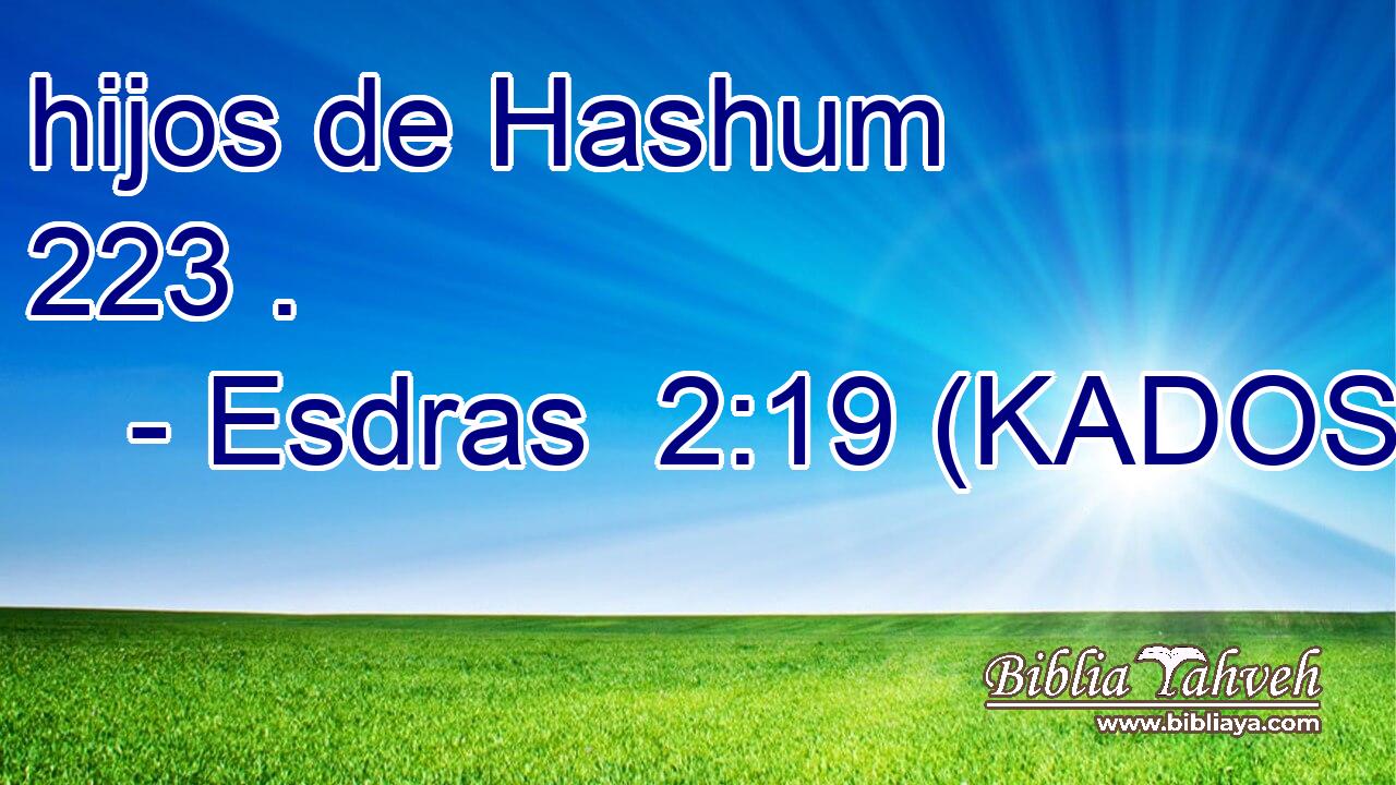  hijos de Hashum 223 . 