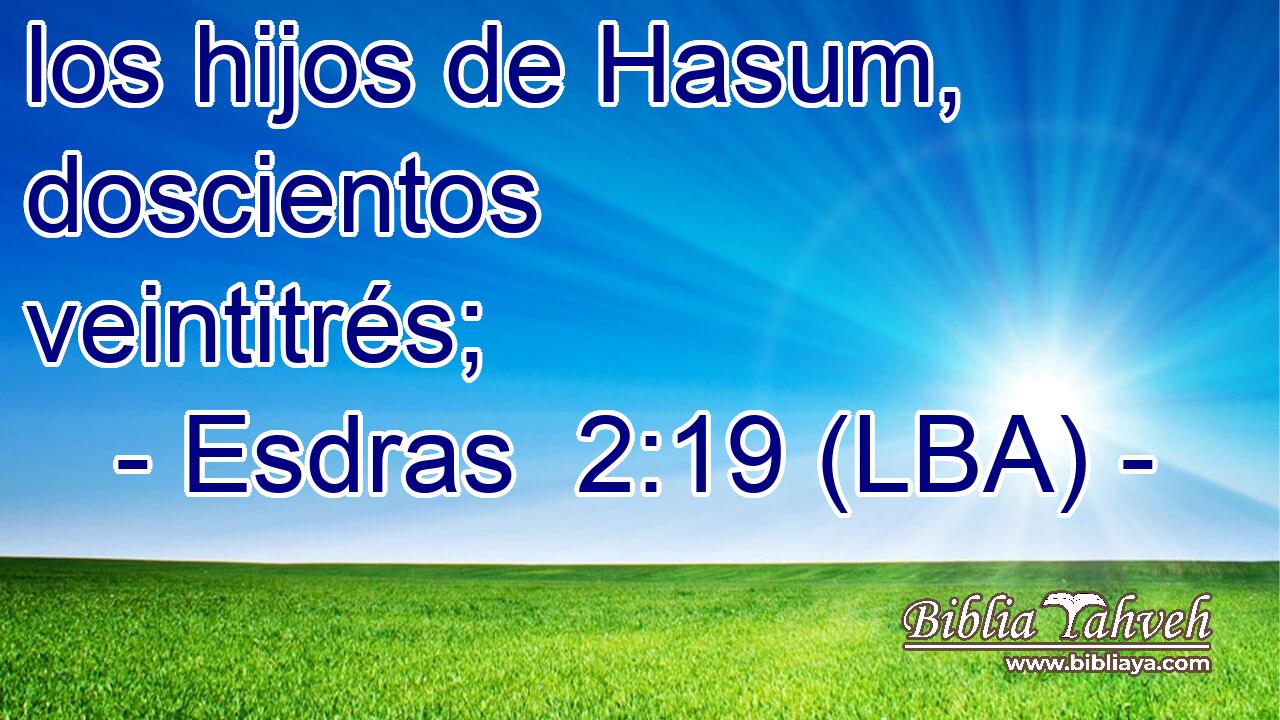 los hijos de Hasum, doscientos veintitrés;