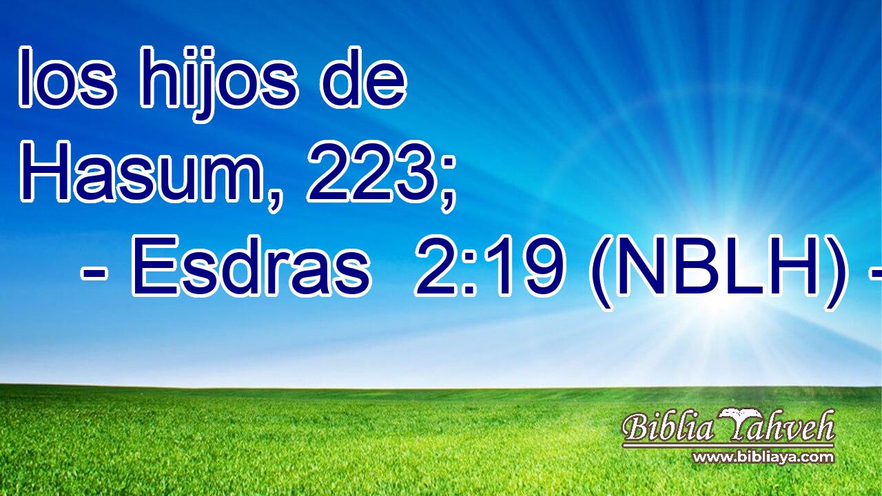  los hijos de Hasum, 223; 