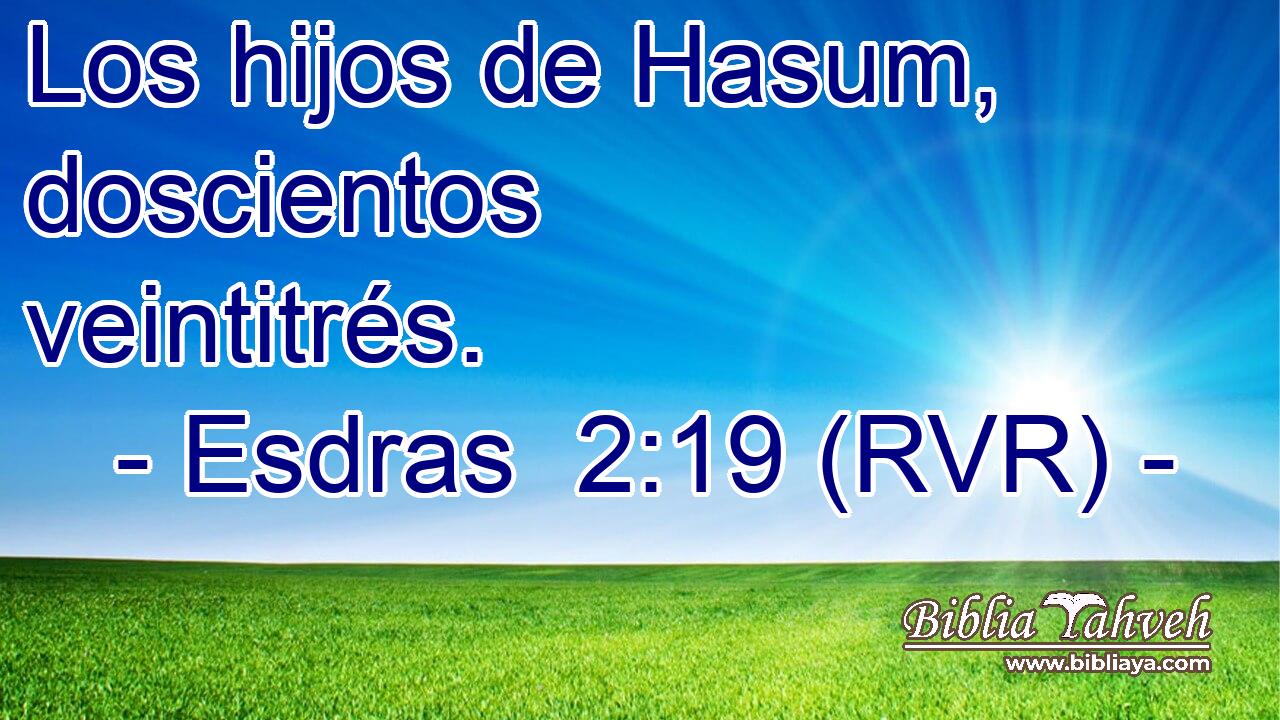 Los hijos de Hasum, doscientos veintitrés.
