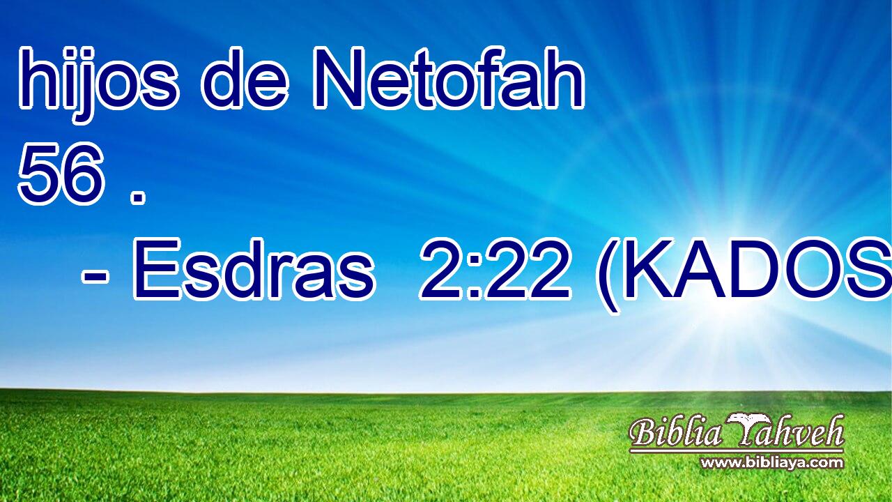  hijos de Netofah 56 . 