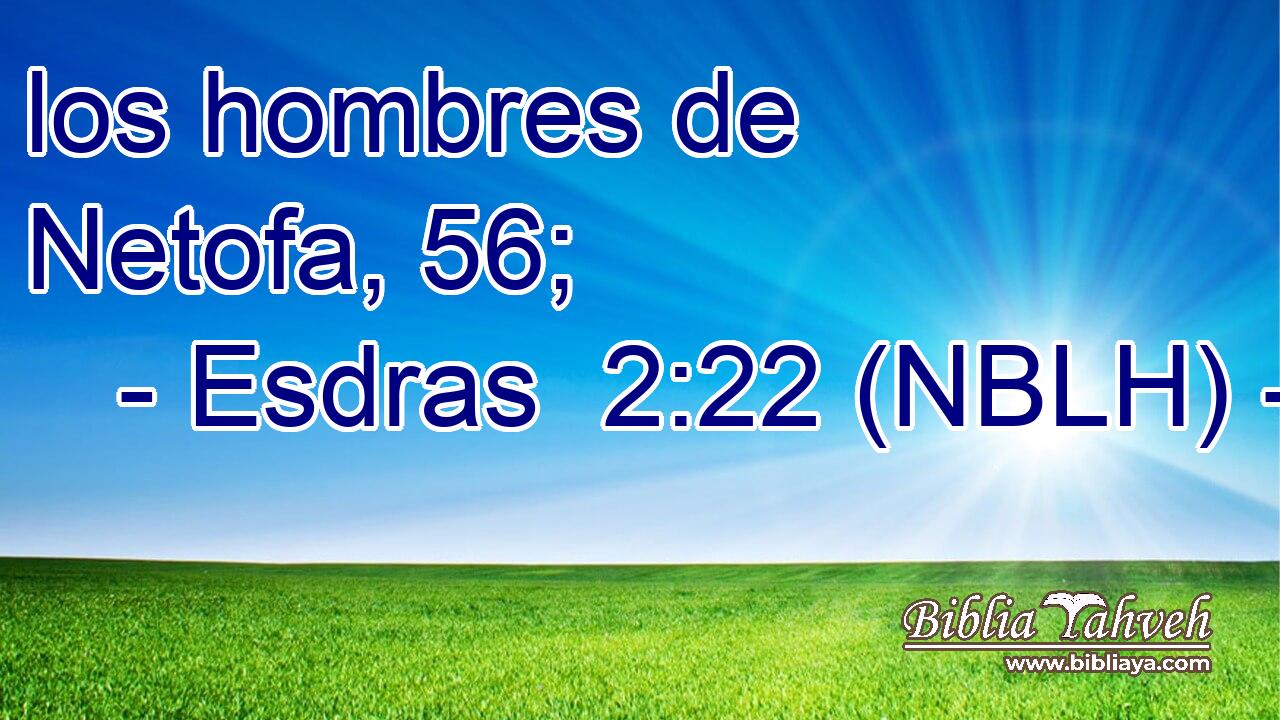  los hombres de Netofa, 56; 