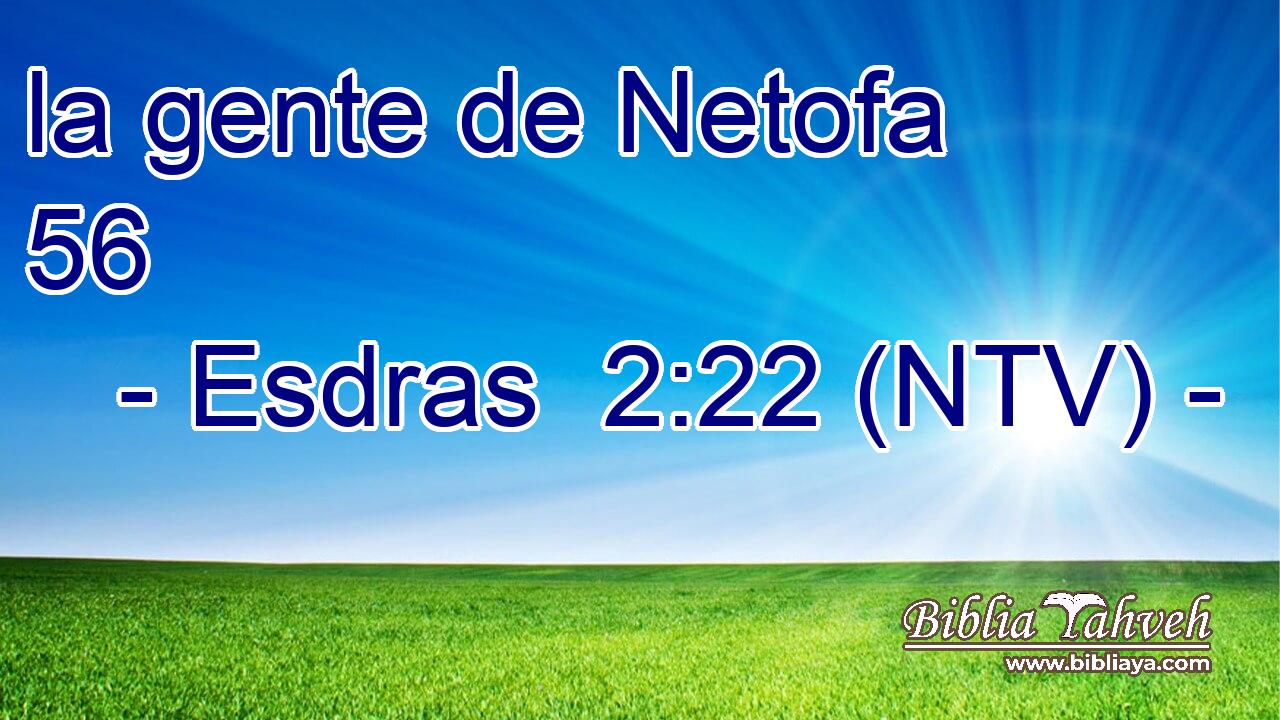 la gente de Netofa 56  