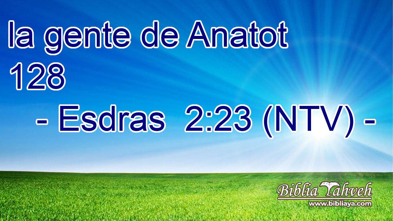 la gente de Anatot 128  