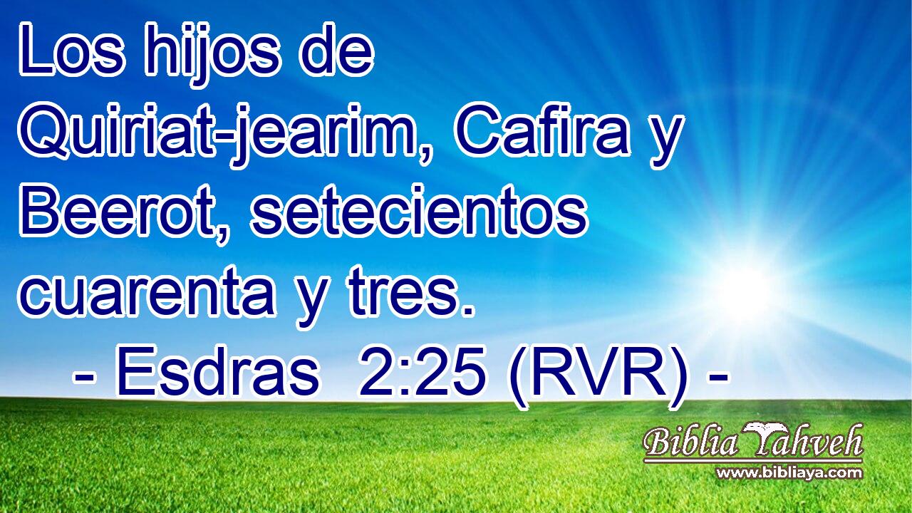 Los hijos de Quiriat-jearim, Cafira y Beerot, setecientos cuarenta y tres.