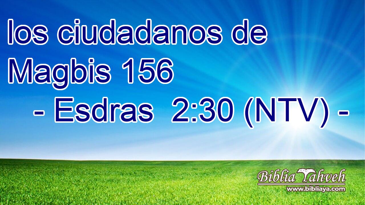 los ciudadanos de Magbis 156  
