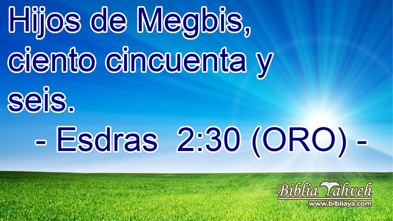  Hijos de Megbis, ciento cincuenta y seis. 