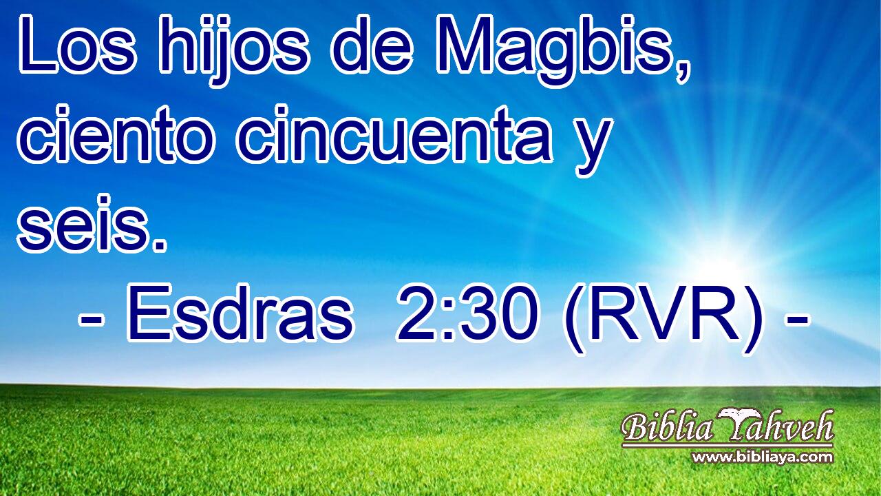 Los hijos de Magbis, ciento cincuenta y seis.